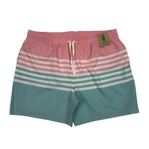 Chubbies The On The Horizons Swim Trunks XXL 5.5” Inseam Pink Teal Stripe NWT